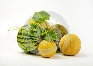 Ripe melon varieties