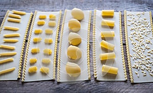 Various types of pasta on lasagne sheets