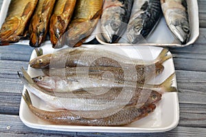 Various types of Raw Fishes of Mackerel fish, Saurida undosquamis, the brushtooth lizardfish, large-scale grinner or largescale