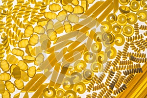 Various types of raw pasta