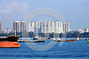 Various types of sea vessels and tugboats on the background of the coastline and city line of the city of Singapore.