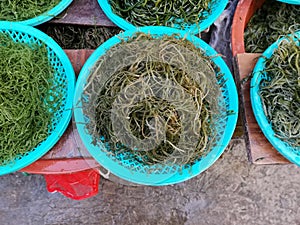 Various types of seaweed displayed for sale in typical South Korean market