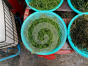 Various types of seaweed displayed for sale in typical South Korean market