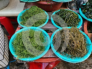 Various types of seaweed displayed for sale in typical South Korean market