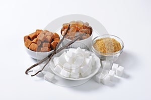 Various types of sugar