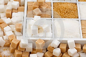 Various types of sugar