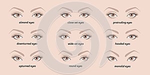 Various types of woman eyes.