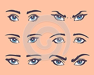 Various types of woman eyes with eyebrows.