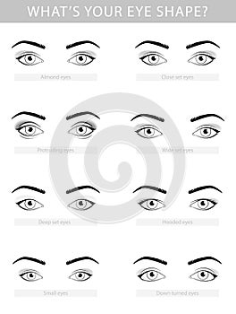 Various types of woman eyes, vector set