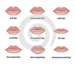 Various types of woman lips.
