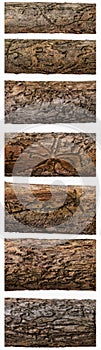 Various types of wood damaged by bark beetles