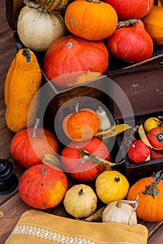 Various varieties of pumpkins in wooden crates