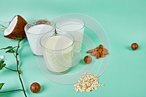 Various vegan plant based milk and ingredients, non-dairy milk, alternative