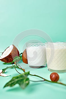 Various vegan plant based milk and ingredients, non-dairy milk, alternative types of vegan milks in glasses