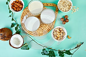 Various vegan plant based milk and ingredients, non-dairy milk, alternative types of vegan milks in glasses