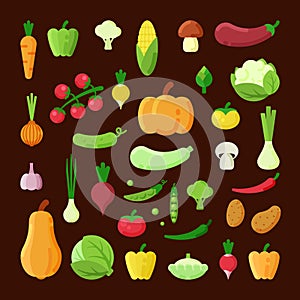 Various vegetables color flat vector illustrations set