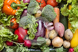 Various vegetables with fresh green