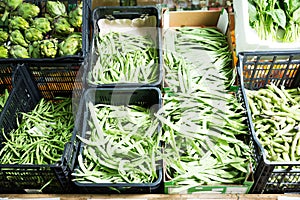 Various vegetables in greengrocery