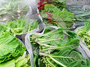 various vegetables in refrigerator for veggies that keeps food fresh with vapor