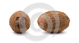 Various views of coconut isolated on white background