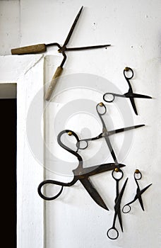 Various vintage scissors pinned to the wall