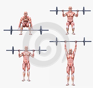 Various weight lifting / bodybuilding postures