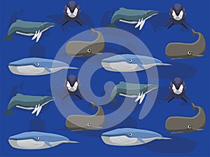 Various Whale Species Vector Seamless Background Wallpaper-01