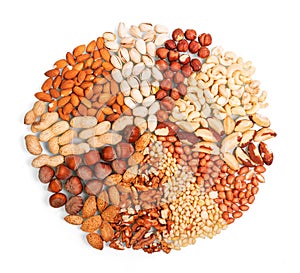 Various whole and peeled nuts isolated on white.