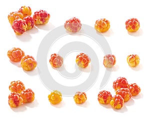 Various wild cloudberries
