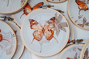 varioussized hoops with progressing stages of a butterfly design