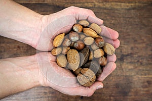 Variuos nuts in hands