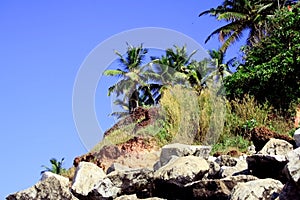 Varkala Cliff on the Seaside, Kerala, India