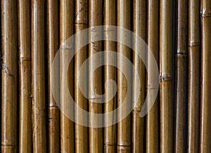 Varnished bamboo background photo