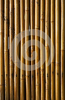 Varnished bamboo background