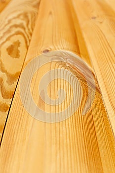 The varnished boards. The wood texture. The background.