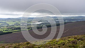 Vartry reservoir in a clody day