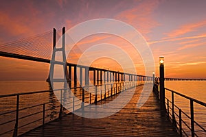 Vasco da Gama bridge photo