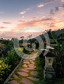 Paved path in the rice fields and terraces in Sidemen on Bali photo