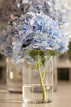 Vase with beautiful blue hydrangea flowers on a wooden table.