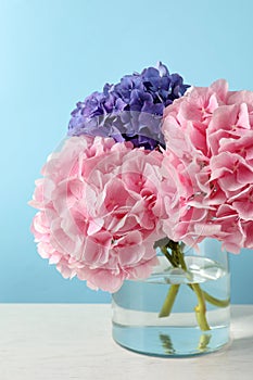 Vase with hortensia flowers on table against light blue background