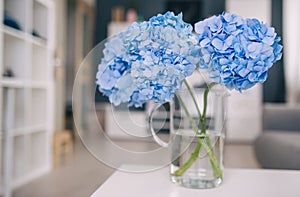 Vase with beautiful hydrangea flowers on table