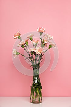 Vase with a beautiful pink carnation flower on white table