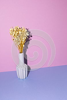 Vase of beige baby`s breath flowers on blue table. purple wall background