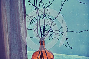 A vase with buds of leaves and tree branches on a winter window in anticipation of spring