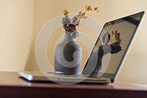vase with dried flowers in front of a mirror photo
