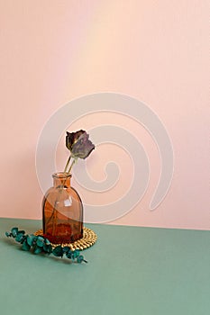 Vase of dry rose flower on green table. pink wall background