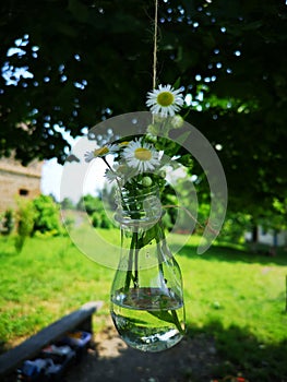 Vase with field flowers, spring flowers