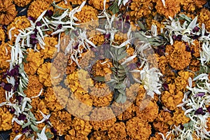 Vase is filled with water and decorated beautiful orange flowers in tropical garden. India. Close up