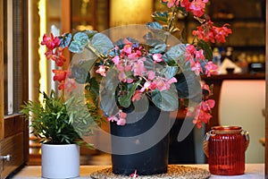 Vase with flowers in a restaurant in Greece