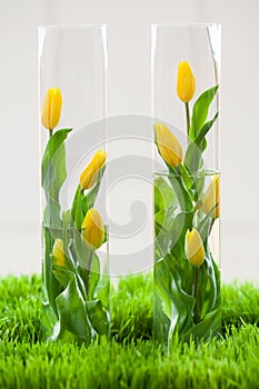 Vase of flowers with tulips, floristics decoration